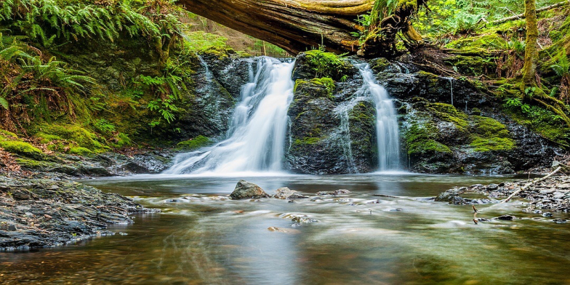 Zoo Zöllner - Natur - Kraft - Wasserfall - kleiner Teich
