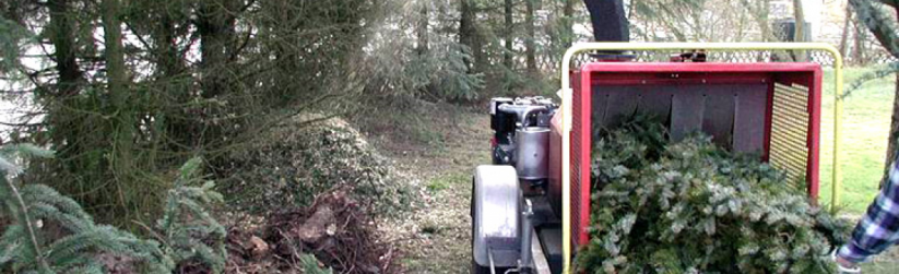 Dieses Bild hat ein leeres alt-Attribut; sein Dateiname ist cropped-foto_galerie_05.png.