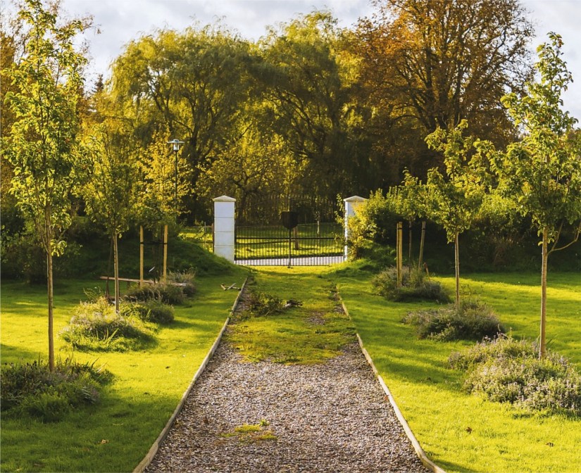 Zöllner Service und Handels GmbH - Banner - Garten im Sommer